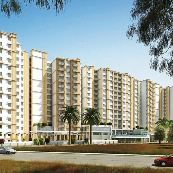 Prestige pine wood luxury apartment