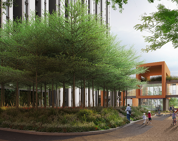 Assetz Canvas and Cove