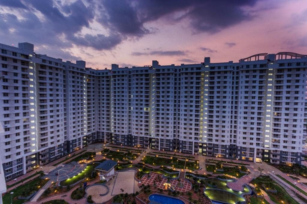 Purva – PALM BEACH