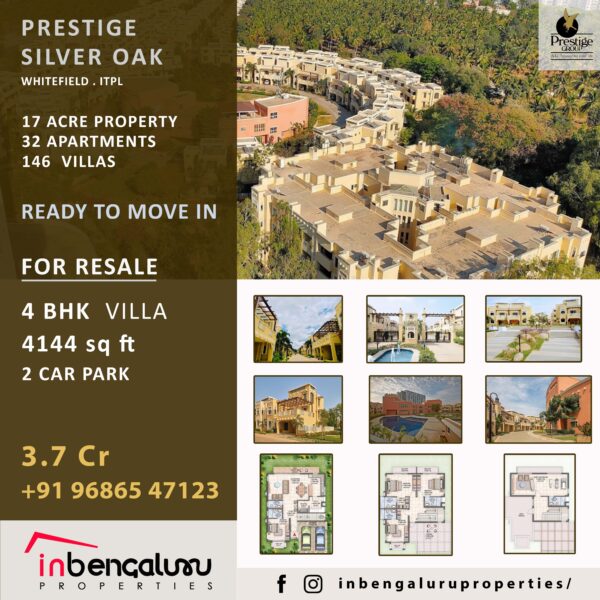 Prestige silver oak resale