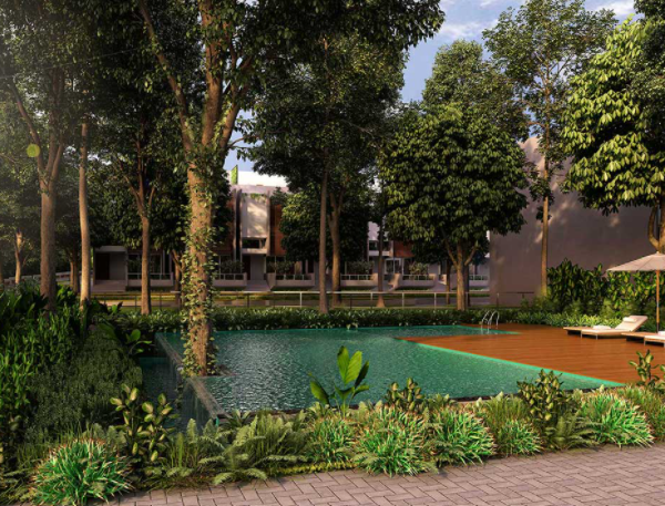 Assetz Leaves & Lives