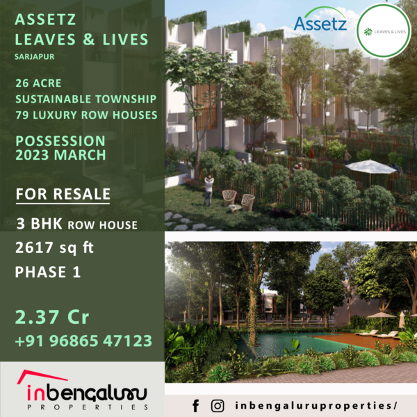 Assetz Leaves & Lives